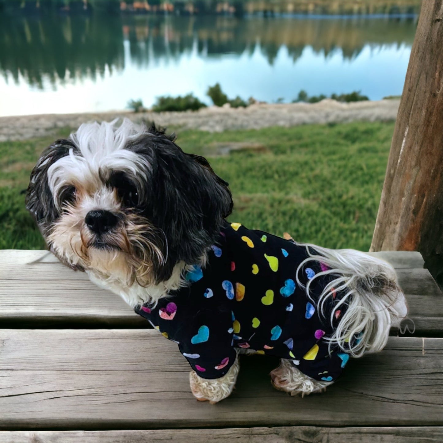 Large Christmas PJ’s, Cotton Dog Pajamas