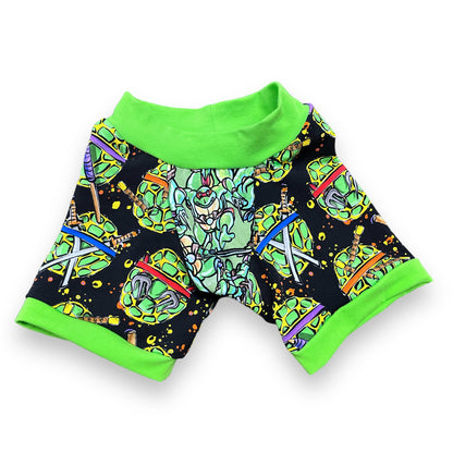 Boys 4T Turtles Boxer Briefs